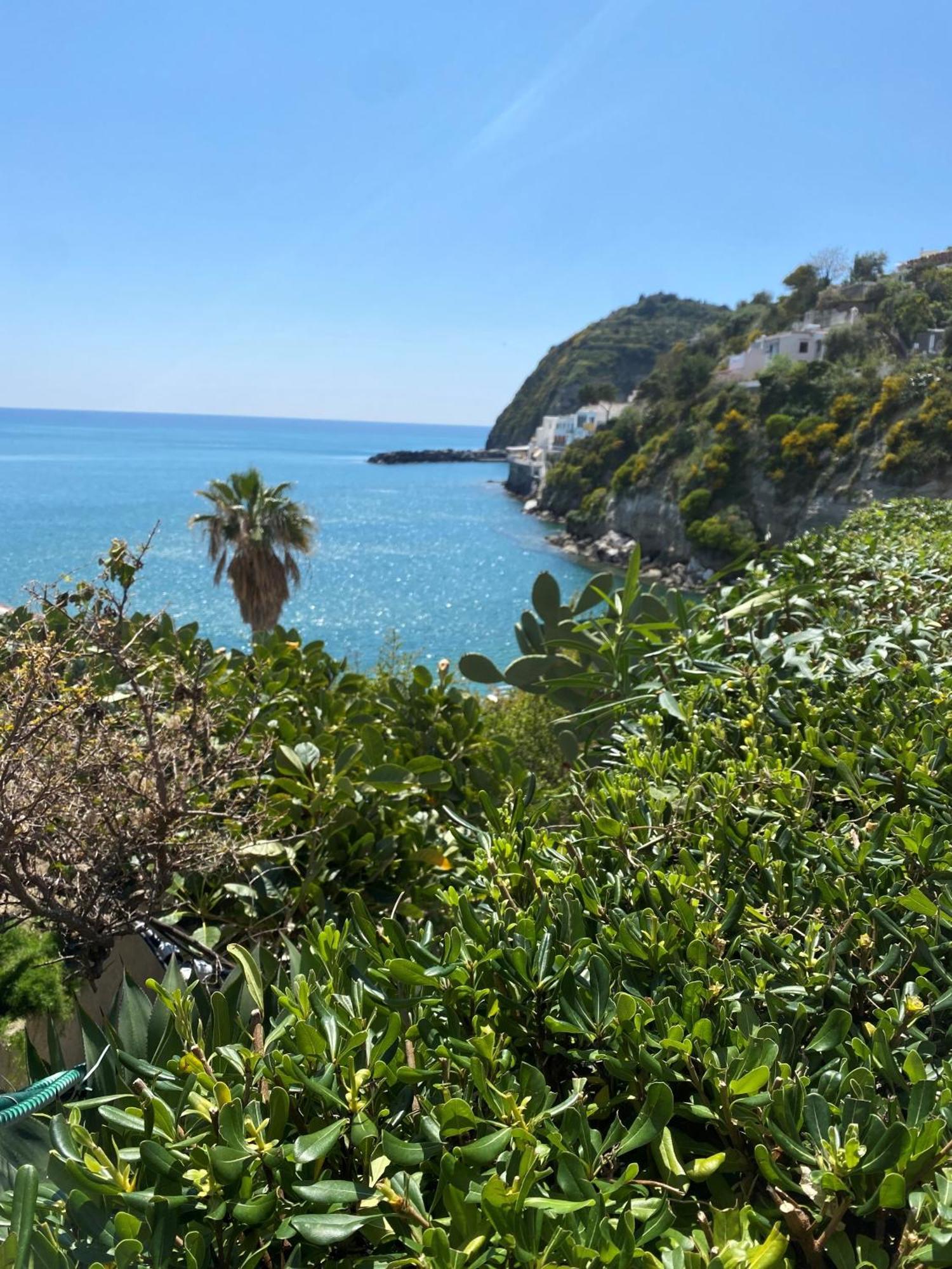 Hotel Casa Rosa Sea & Spa Sant'Angelo  Eksteriør billede