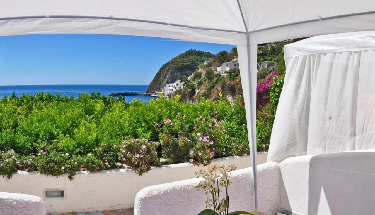 Hotel Casa Rosa Sea & Spa Sant'Angelo  Eksteriør billede